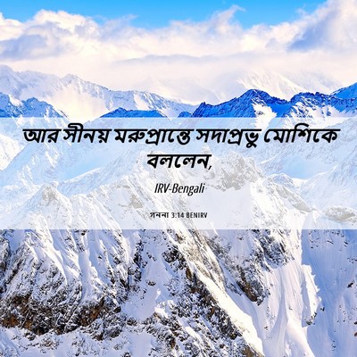 Picture 06 - গননা 3:14 BENIRV - আর সীনয় - Bible Verse Picture