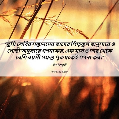 Picture 06 - গননা 3:15 BENIRV - “তুমি লেবির - Bible Verse Picture