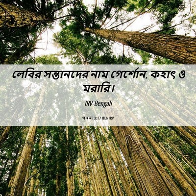 Picture 06 - গননা 3:17 BENIRV - লেবির সন্তানদের - Bible Verse Picture