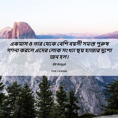 Picture 06 - গননা 3:34 BENIRV - একমাস ও তার থেকে - Bible Verse Picture
