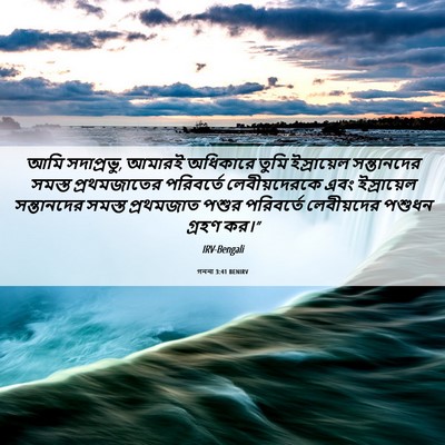 Picture 06 - গননা 3:41 BENIRV - আমি সদাপ্রভু, - Bible Verse Picture
