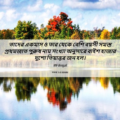 Picture 06 - গননা 3:43 BENIRV - তাদের একমাস ও তার - Bible Verse Picture