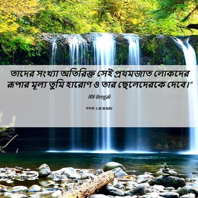 Picture 06 - গননা 3:48 BENIRV - তাদের সংখ্যা - Bible Verse Picture