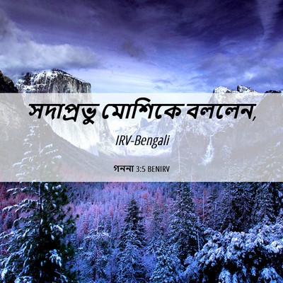 Picture 06 - গননা 3:5 BENIRV - সদাপ্রভু মোশিকে - Bible Verse Picture