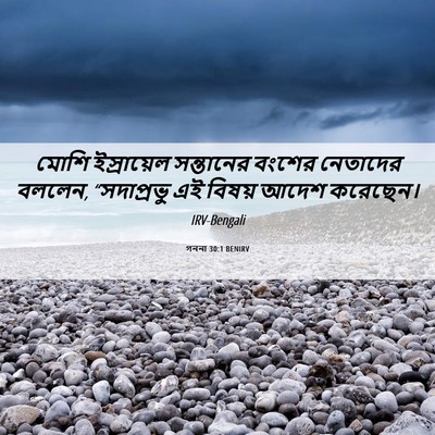 Picture 06 - গননা 30:1 BENIRV - মোশি ইস্রায়েল - Bible Verse Picture