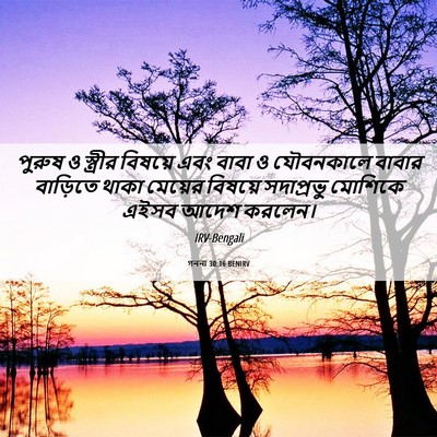 Picture 06 - গননা 30:16 BENIRV - পুরুষ ও স্ত্রীর - Bible Verse Picture