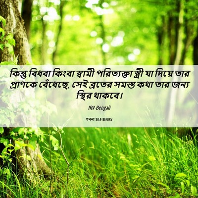 Picture 06 - গননা 30:9 BENIRV - কিন্তু বিধবা - Bible Verse Picture