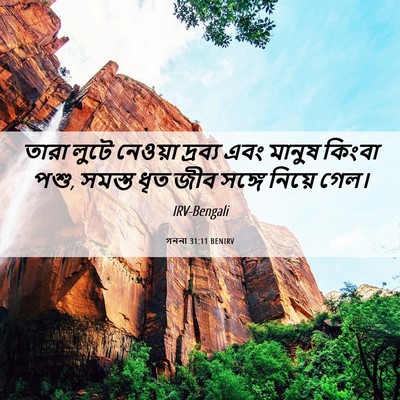 Picture 06 - গননা 31:11 BENIRV - তারা লুটে নেওয়া - Bible Verse Picture