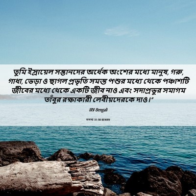 Picture 06 - গননা 31:30 BENIRV - তুমি ইস্রায়েল - Bible Verse Picture