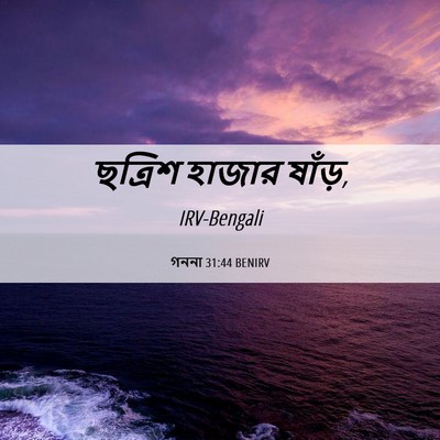 Picture 06 - গননা 31:44 BENIRV - ছত্রিশ হাজার - Bible Verse Picture