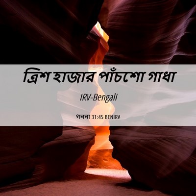 Picture 06 - গননা 31:45 BENIRV - ত্রিশ হাজার - Bible Verse Picture