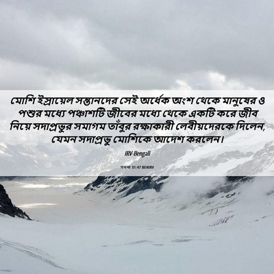 Picture 06 - গননা 31:47 BENIRV - মোশি ইস্রায়েল - Bible Verse Picture