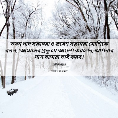 Picture 06 - গননা 32:25 BENIRV - তখন গাদ সন্তানরা ও - Bible Verse Picture