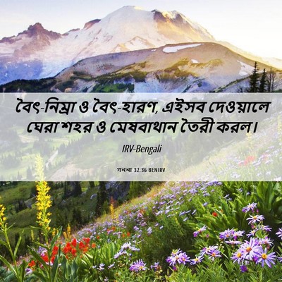 Picture 06 - গননা 32:36 BENIRV - বৈৎ-নিম্রা ও - Bible Verse Picture