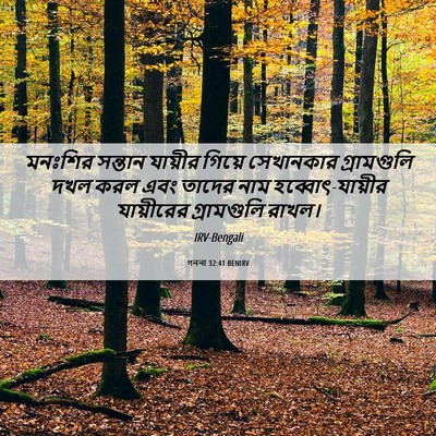 Picture 06 - গননা 32:41 BENIRV - মনঃশির সন্তান - Bible Verse Picture