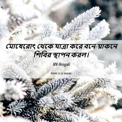 Picture 06 - গননা 33:31 BENIRV - মোষেরোৎ থেকে - Bible Verse Picture