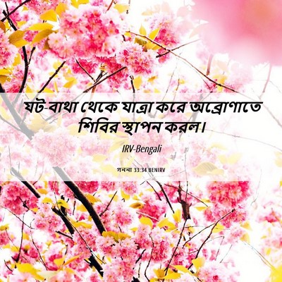 Picture 06 - গননা 33:34 BENIRV - যট-বাথা থেকে - Bible Verse Picture