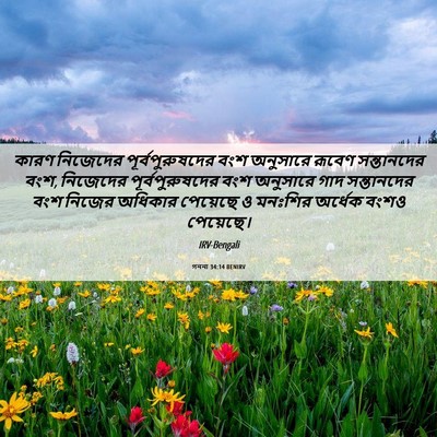 Picture 06 - গননা 34:14 BENIRV - কারণ নিজেদের - Bible Verse Picture