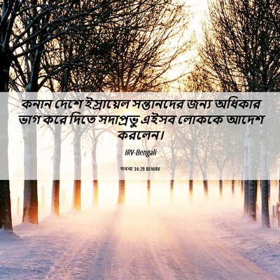 Picture 06 - গননা 34:29 BENIRV - কনান দেশে - Bible Verse Picture