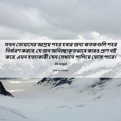 Picture 06 - গননা 35:11 BENIRV - তখন তোমাদের - Bible Verse Picture