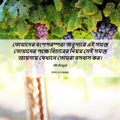 Picture 06 - গননা 35:29 BENIRV - তোমাদের - Bible Verse Picture