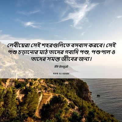 Picture 06 - গননা 35:3 BENIRV - লেবীয়েরা সেই - Bible Verse Picture