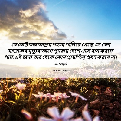 Picture 06 - গননা 35:32 BENIRV - যে কেউ তার আশ্রয় - Bible Verse Picture
