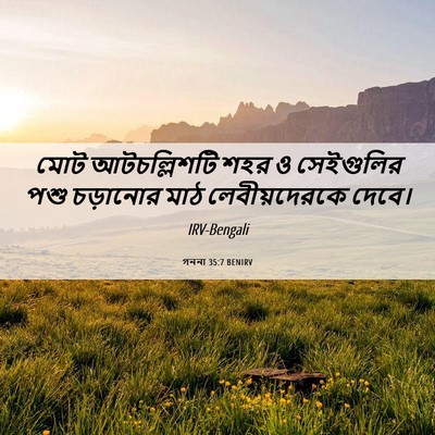 Picture 06 - গননা 35:7 BENIRV - মোট আটচল্লিশটি - Bible Verse Picture