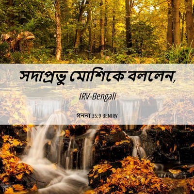 Picture 06 - গননা 35:9 BENIRV - সদাপ্রভু মোশিকে - Bible Verse Picture