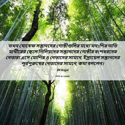 Picture 06 - গননা 36:1 BENIRV - তখন যোষেফ - Bible Verse Picture