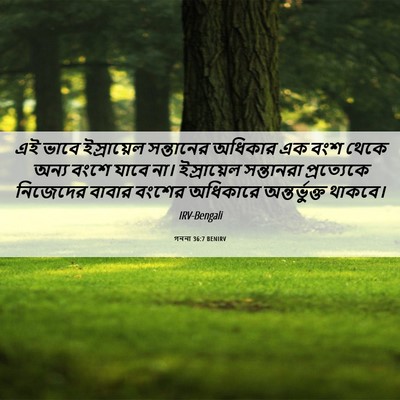 Picture 06 - গননা 36:7 BENIRV - এই ভাবে ইস্রায়েল - Bible Verse Picture