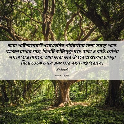 Picture 06 - গননা 4:14 BENIRV - তারা পাটাতনের - Bible Verse Picture
