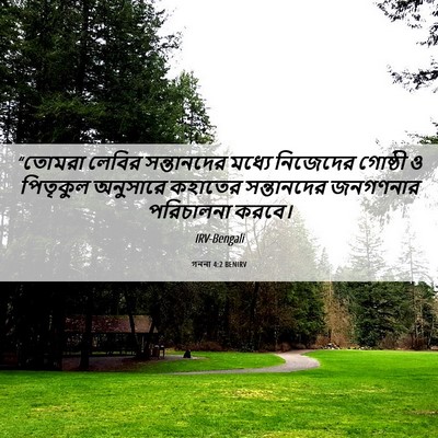 Picture 06 - গননা 4:2 BENIRV - “তোমরা লেবির - Bible Verse Picture