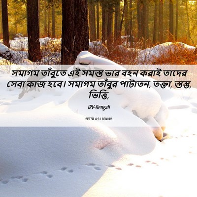Picture 06 - গননা 4:31 BENIRV - সমাগম তাঁবুতে এই - Bible Verse Picture