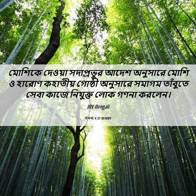 Picture 06 - গননা 4:37 BENIRV - মোশিকে দেওয়া - Bible Verse Picture