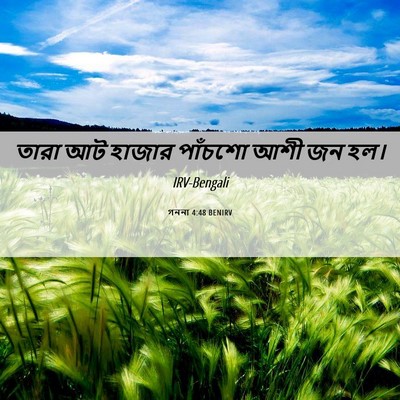 Picture 06 - গননা 4:48 BENIRV - তারা আট হাজার - Bible Verse Picture