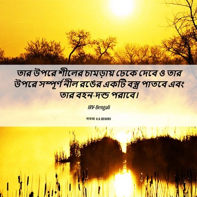 Picture 06 - গননা 4:6 BENIRV - তার উপরে শীলের - Bible Verse Picture