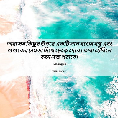 Picture 06 - গননা 4:8 BENIRV - তারা সব কিছুর উপরে - Bible Verse Picture
