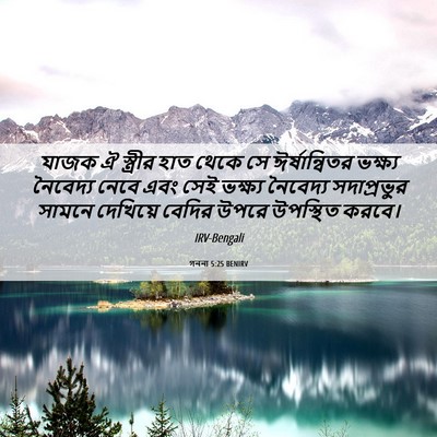 Picture 06 - গননা 5:25 BENIRV - যাজক ঐ স্ত্রীর হাত - Bible Verse Picture