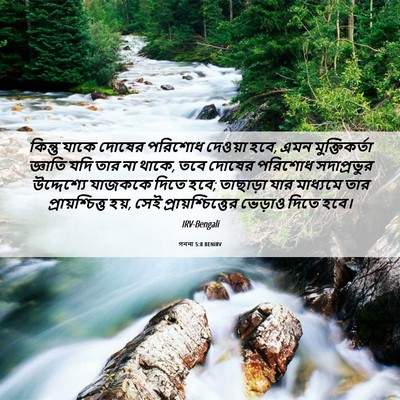 Picture 06 - গননা 5:8 BENIRV - কিন্তু যাকে দোষের - Bible Verse Picture