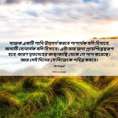 Picture 06 - গননা 6:11 BENIRV - যাজক একটি পাখি - Bible Verse Picture