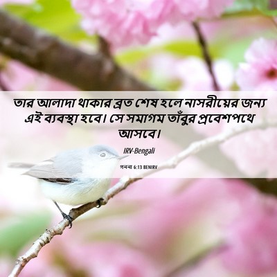 Picture 06 - গননা 6:13 BENIRV - তার আলাদা থাকার - Bible Verse Picture