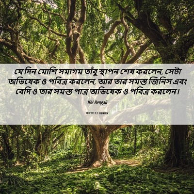 Picture 06 - গননা 7:1 BENIRV - যে দিন মোশি সমাগম - Bible Verse Picture