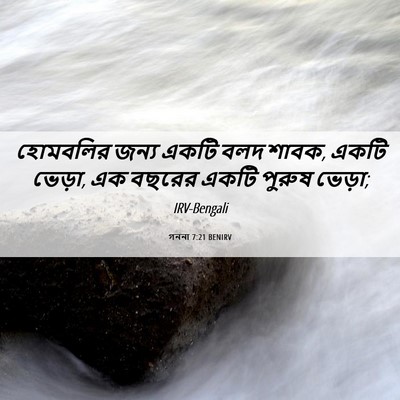 Picture 06 - গননা 7:21 BENIRV - হোমবলির জন্য একটি - Bible Verse Picture