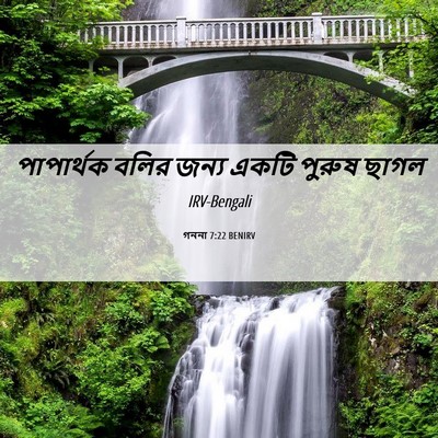 Picture 06 - গননা 7:22 BENIRV - পাপার্থক বলির - Bible Verse Picture