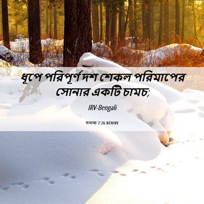 Picture 06 - গননা 7:26 BENIRV - ধূপে পরিপূর্ণ দশ - Bible Verse Picture