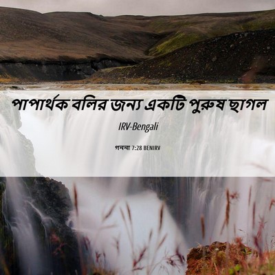 Picture 06 - গননা 7:28 BENIRV - পাপার্থক বলির - Bible Verse Picture