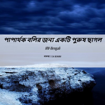 Picture 06 - গননা 7:34 BENIRV - পাপার্থক বলির - Bible Verse Picture