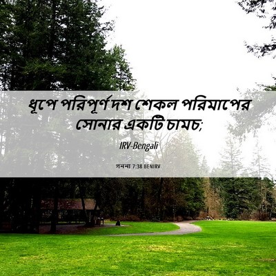 Picture 06 - গননা 7:38 BENIRV - ধূপে পরিপূর্ণ দশ - Bible Verse Picture