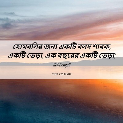 Picture 06 - গননা 7:39 BENIRV - হোমবলির জন্য একটি - Bible Verse Picture
